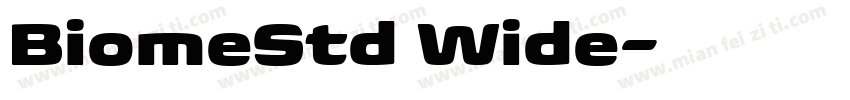 BiomeStd Wide字体转换